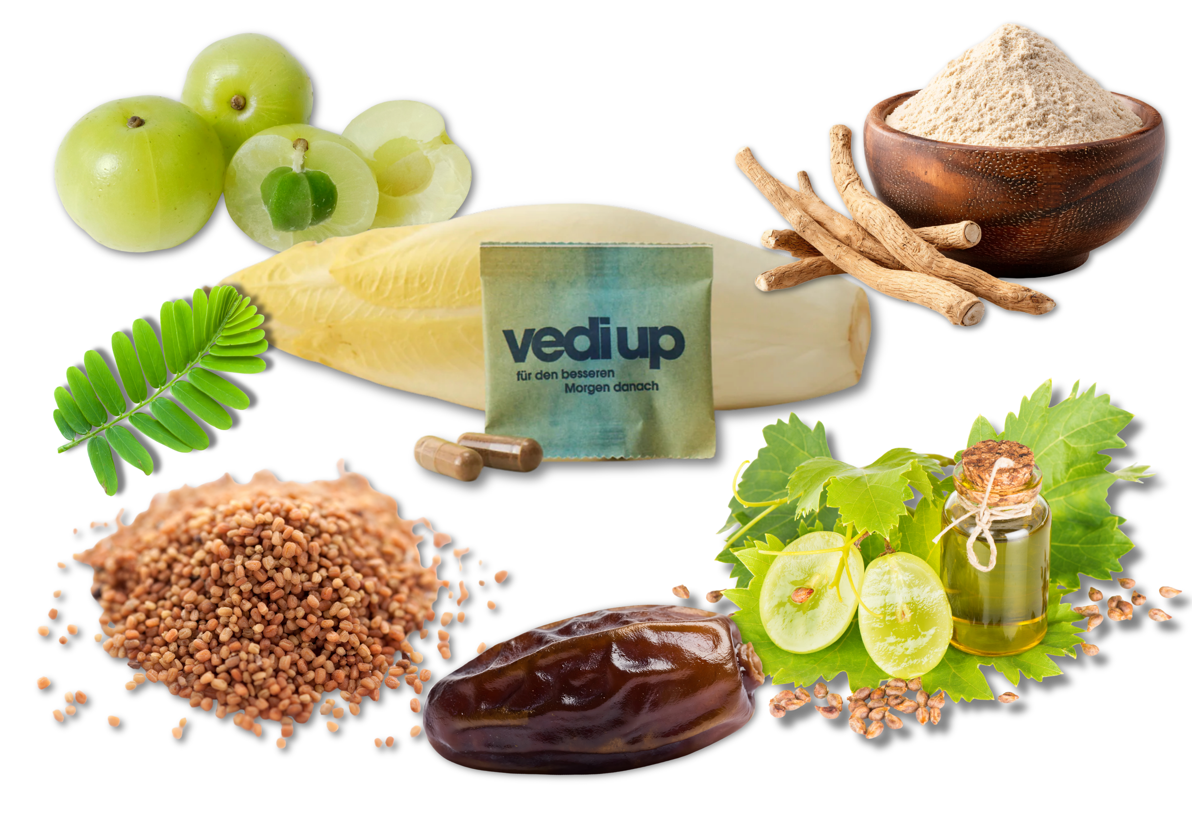 Kater vorbeugen Medikament